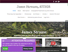 Tablet Screenshot of jamesstrauss.com